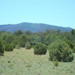 20 Acre Mountain Lot