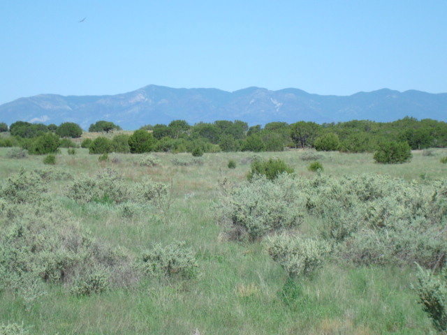 Small horse property or large homesite 