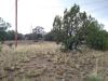 IMG_20220625_165746190_HDR
