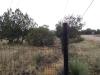 IMG_20220625_165826743