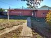 Back-Yard