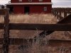 barn-apartment