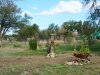 DSC03594_1