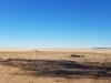 20171118_150237