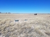 20180224_141137