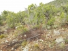 20171005_165848