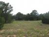 Trees and Open Space (4)_Small