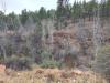 Cabin-Terrain-10