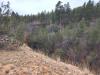 Cabin-Terrain-4