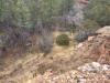 Cabin-Terrain-5