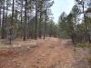 Cabin-Terrain-9