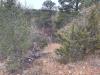 Lots-terrain-1