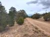 Lots-terrain-3