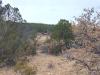 Lots-terrain-4