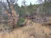 Lots-terrain-5