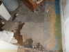 PB230009