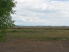 Back acre