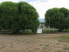 Tress