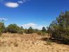 46.99-ACRE-2