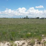 2 Acre Lot Country Living