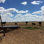 240 Acres Ranch Land