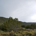 20 Acres Deer Canyon Preserve